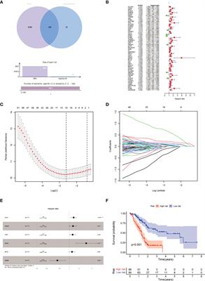 Identification of gene signatures related to hypoxia and angiogenesis in pancreatic cancer to aid immunotherapy and prognosis